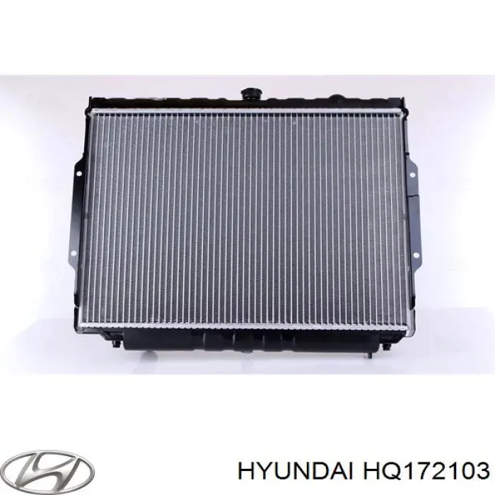 Радіатор основний Hyundai/Kia HQ172103 ціна, від 134.87 USD