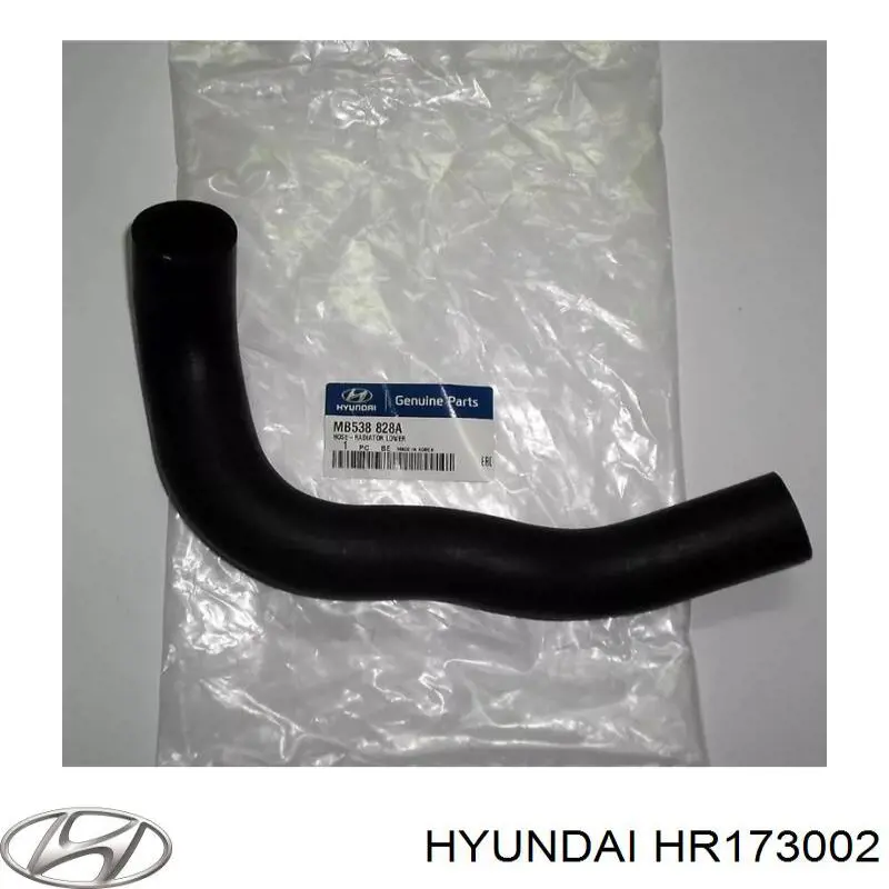 Купити PXNLA146 Parts-Mall Шланг/патрубок радіатора охолодження, нижній