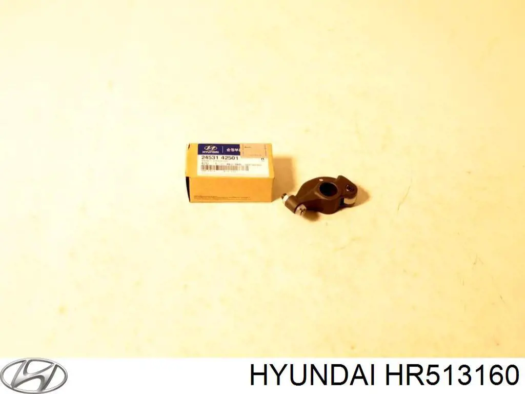 HR513160 Hyundai/Kia Ручка правих дверей зовнішня