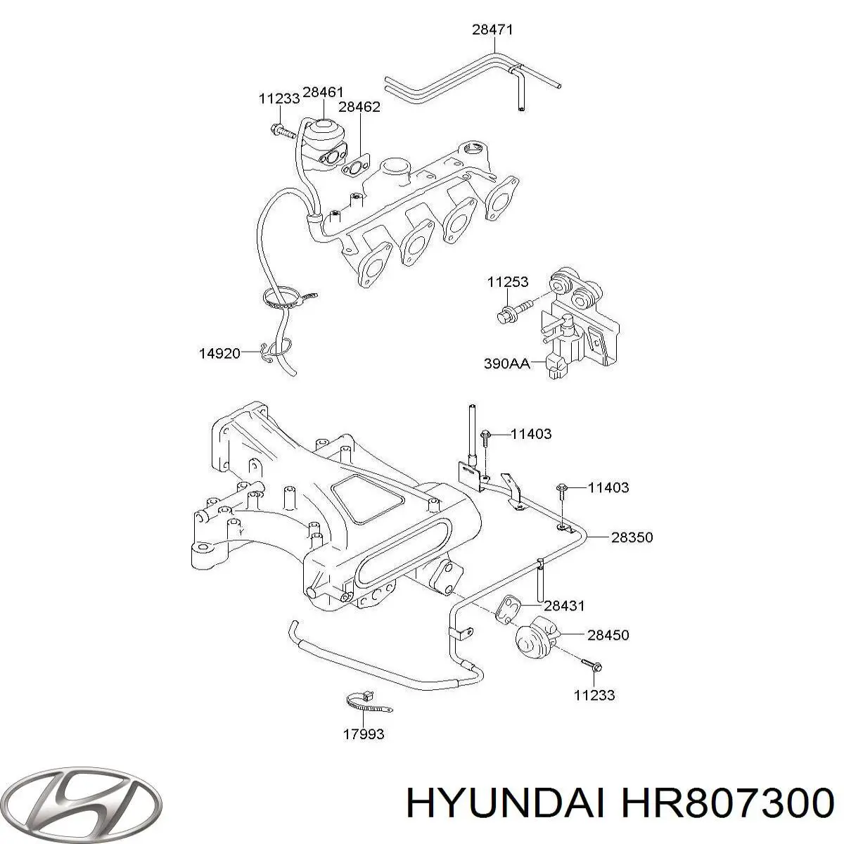 HR807300 Hyundai/Kia 
