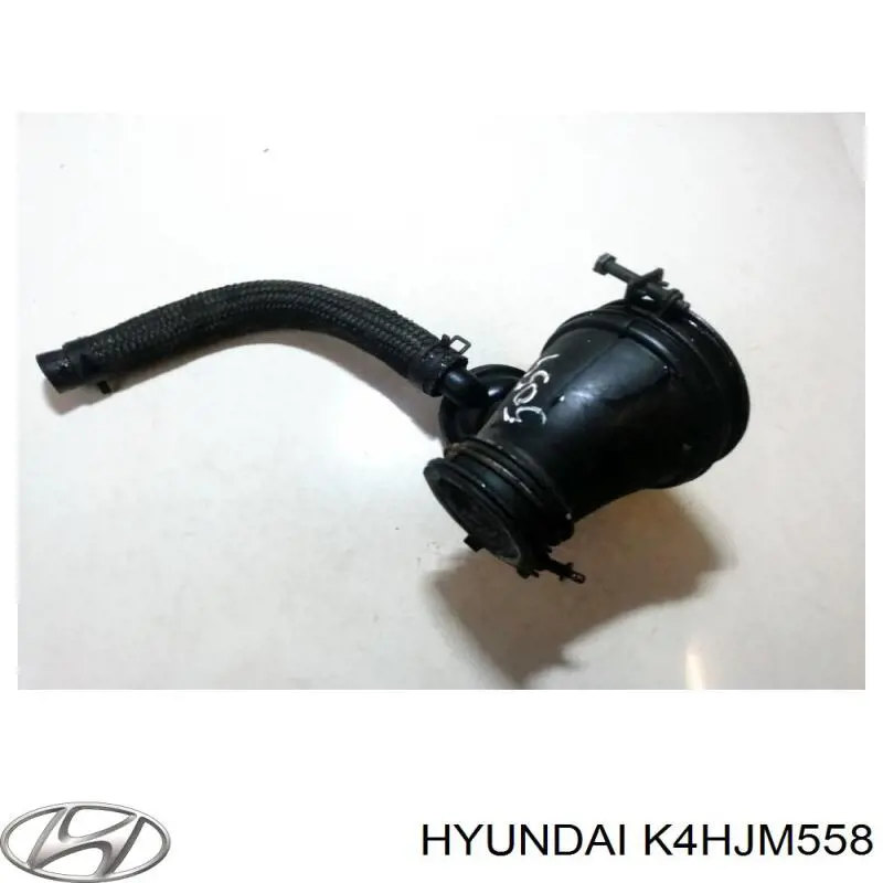 K4HJM558 Hyundai/Kia 