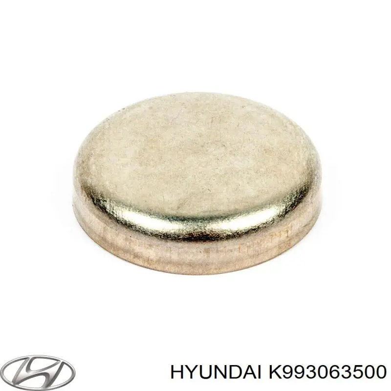 Заглушка ГБЦ/блоку циліндрів Hyundai/Kia K993063500 ціна, від 1.76 USD