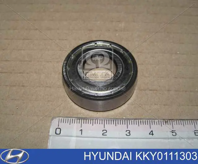 Купити KKY0111303 Hyundai/Kia Підшипник генератора