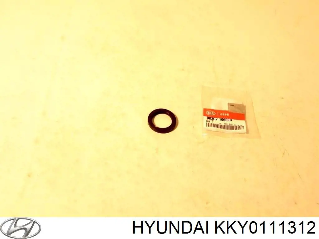  KKY0111312 Hyundai/Kia