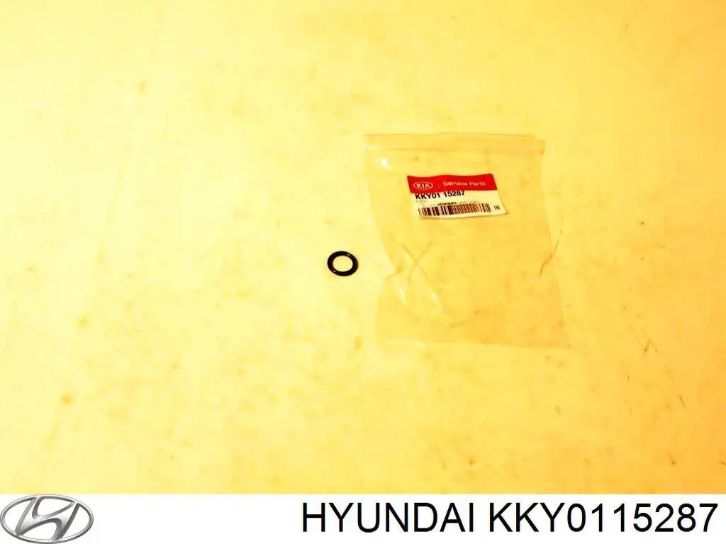  KKY0115287 Hyundai/Kia