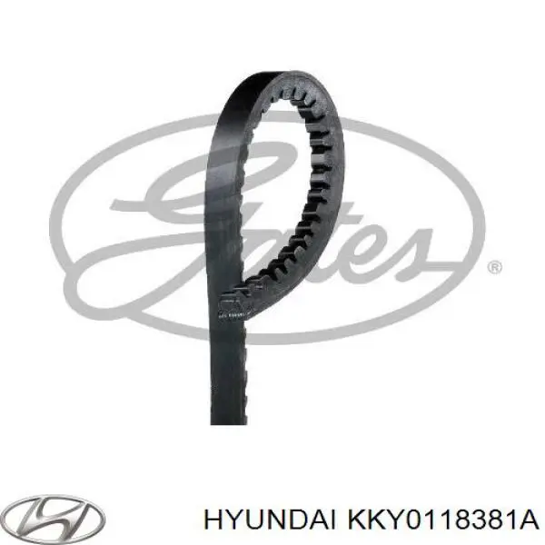 Ремінь приводний, агрегатів KKY0118381A Hyundai/Kia