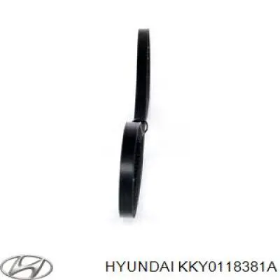 Клиновий ремінь Hyundai/Kia KKY0118381A ціна, від 2.53 USD