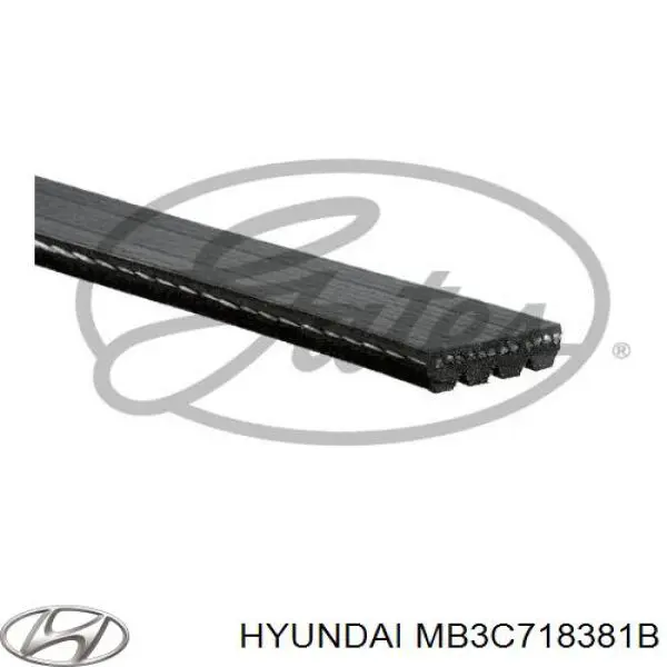 Клиновий ремінь Hyundai/Kia MB3C718381B ціна, від 5.06 USD