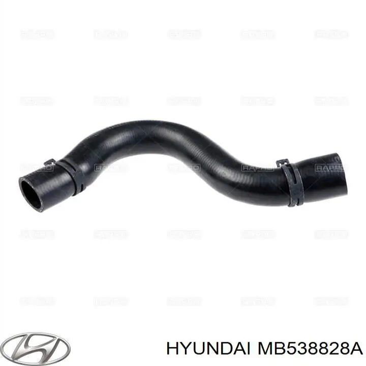 MB538828A Hyundai/Kia Шланг/патрубок радіатора охолодження, нижній