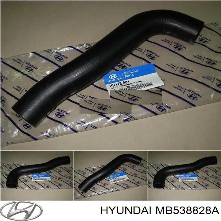 Купити MB538828A Hyundai/Kia Шланг/патрубок радіатора охолодження, нижній