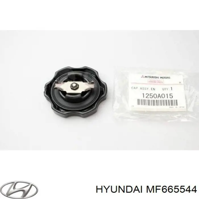 Заглушка ГБЦ/блоку циліндрів MF665544 Hyundai/Kia