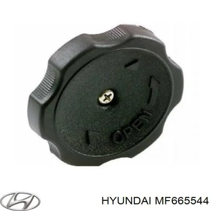 Заглушка ГБЦ/блоку циліндрів Hyundai/Kia MF665544 ціна, від 2.81 USD