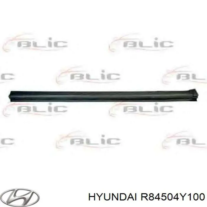  R84504Y100 Hyundai/Kia