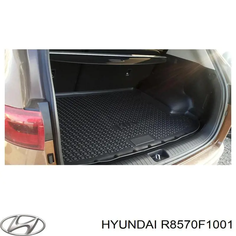 R8570F1001 Hyundai/Kia 