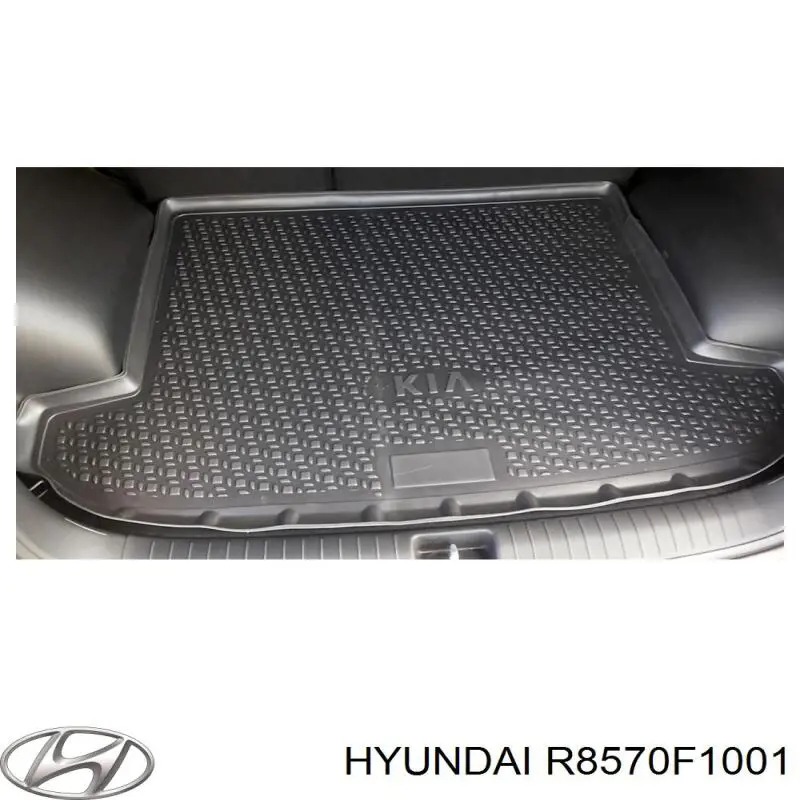  Hyundai/Kia R8570F1001 ціна, від 13.14 USD