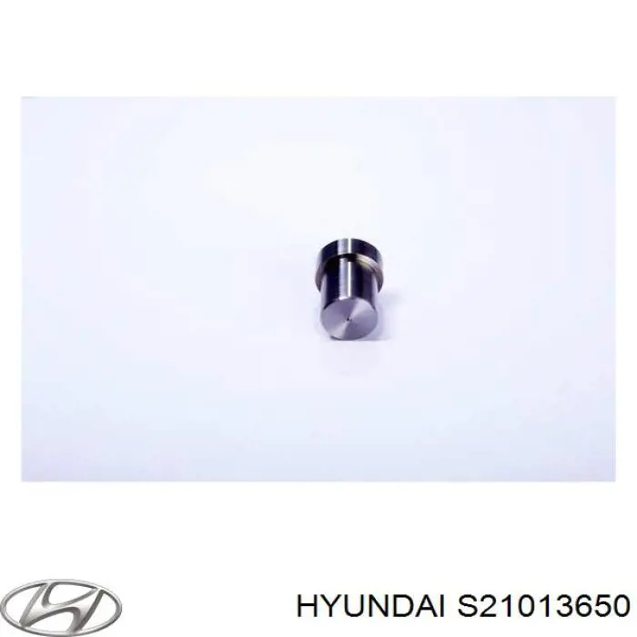 S21013650 Hyundai/Kia Розпилювач дизельної форсунки