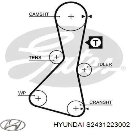 Купити S2431223002 Hyundai/Kia Ремінь газорозподільного механізму