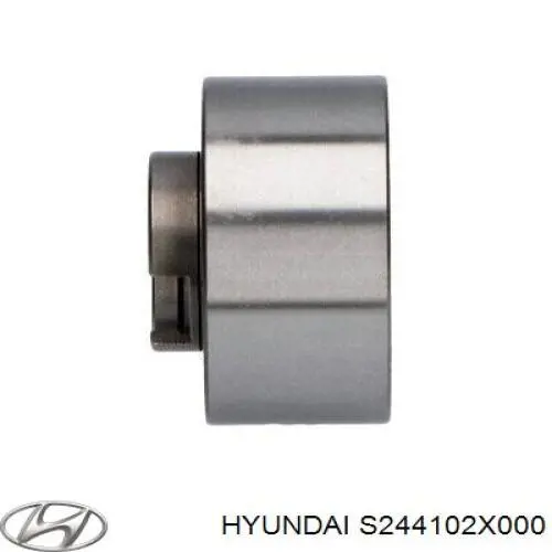 S244102X000 Hyundai/Kia Ролик натягувач