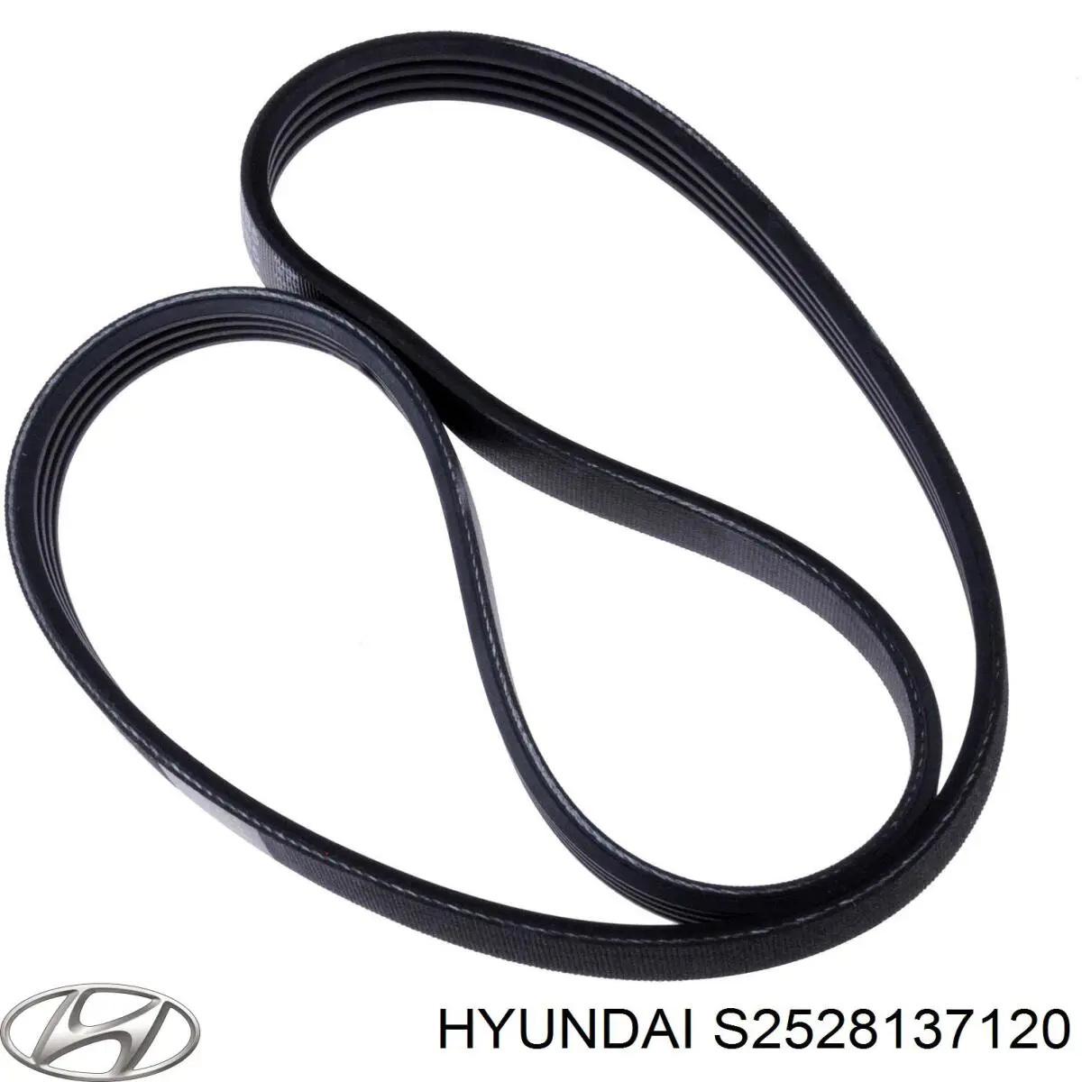 S2528137120 Hyundai/Kia натягувач приводного ременя