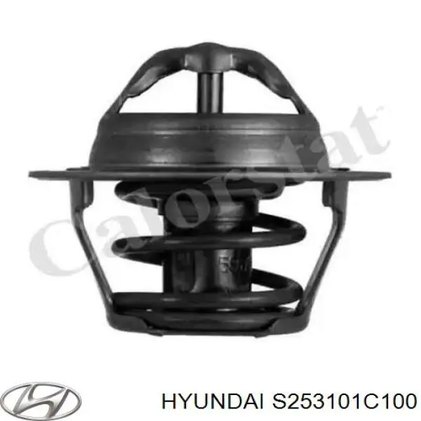 S253101C100 Hyundai/Kia радіатор охолодження двигуна