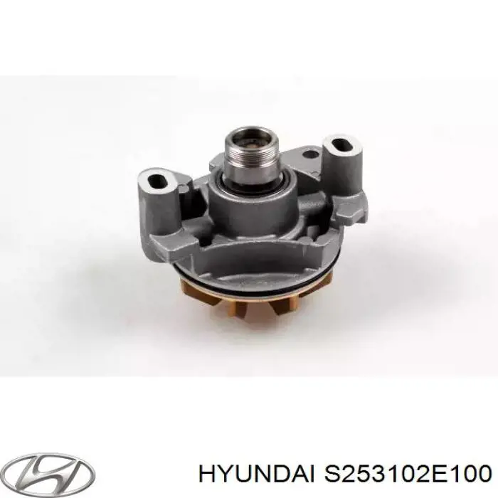 Радіатор охолодження двигуна S253102E100 Hyundai/Kia