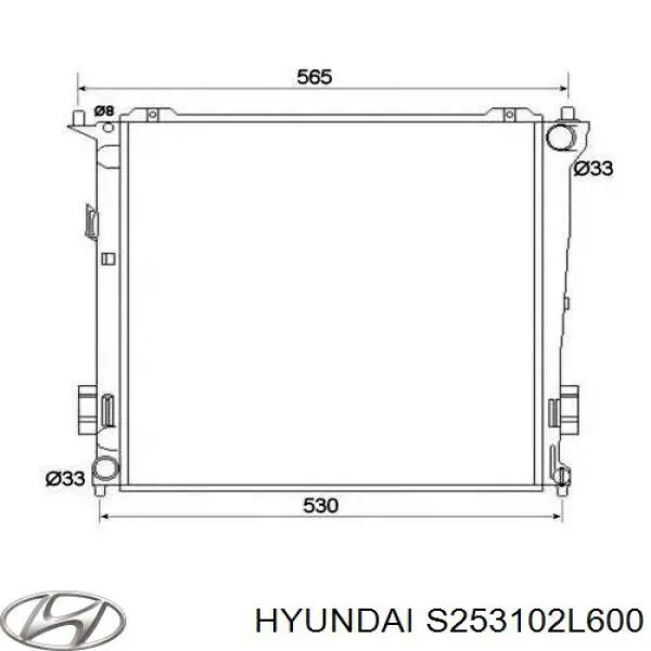 Радіатор охолодження двигуна S253102L600 Hyundai/Kia