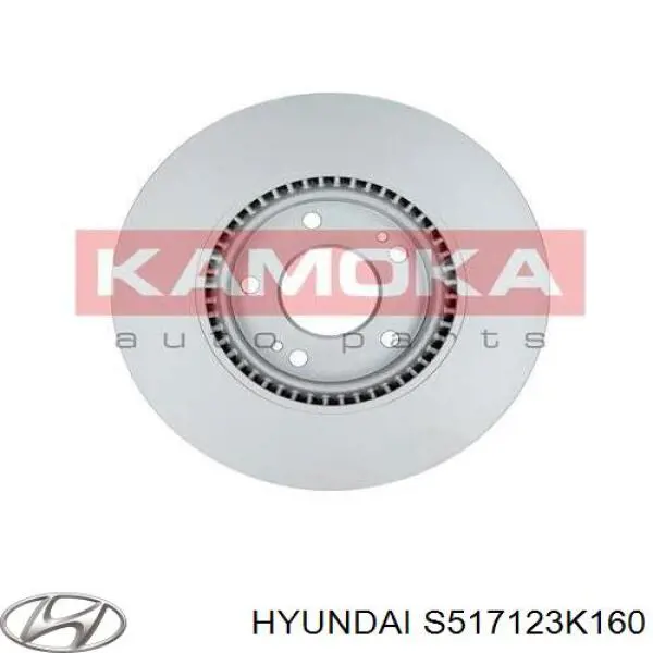 Диск гальмівний передній Hyundai/Kia S517123K160