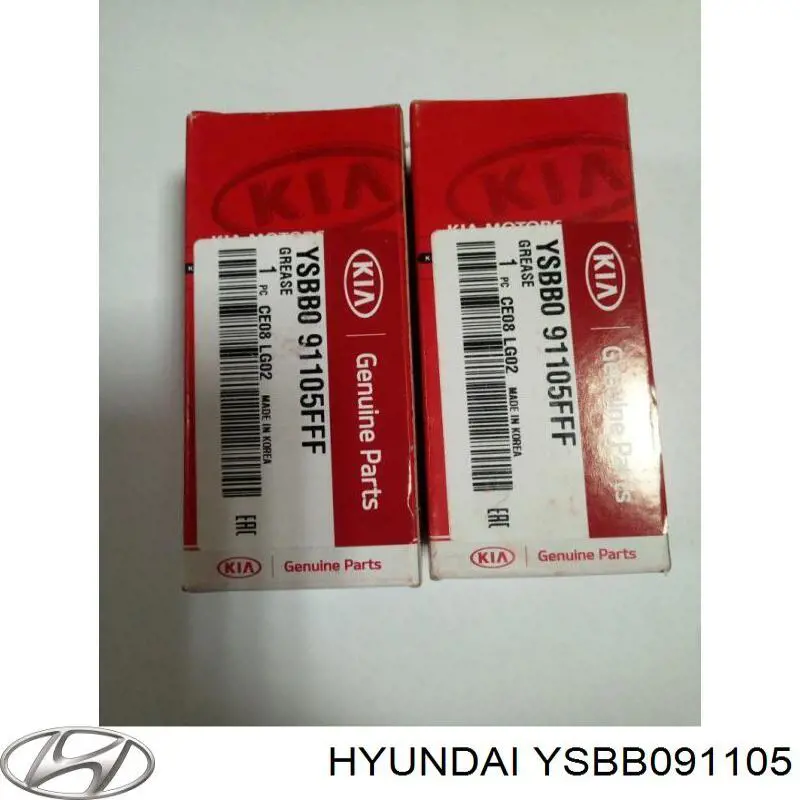  YSBB091105 Hyundai/Kia