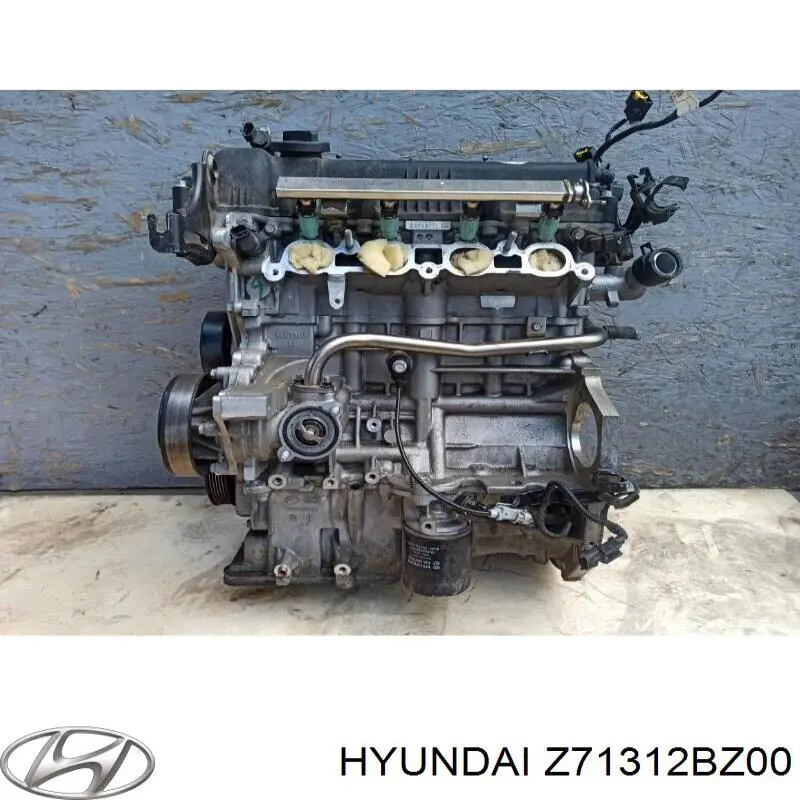ДВЗ Hyundai/Kia Z71312BZ00 ціна, від 1240.35 USD