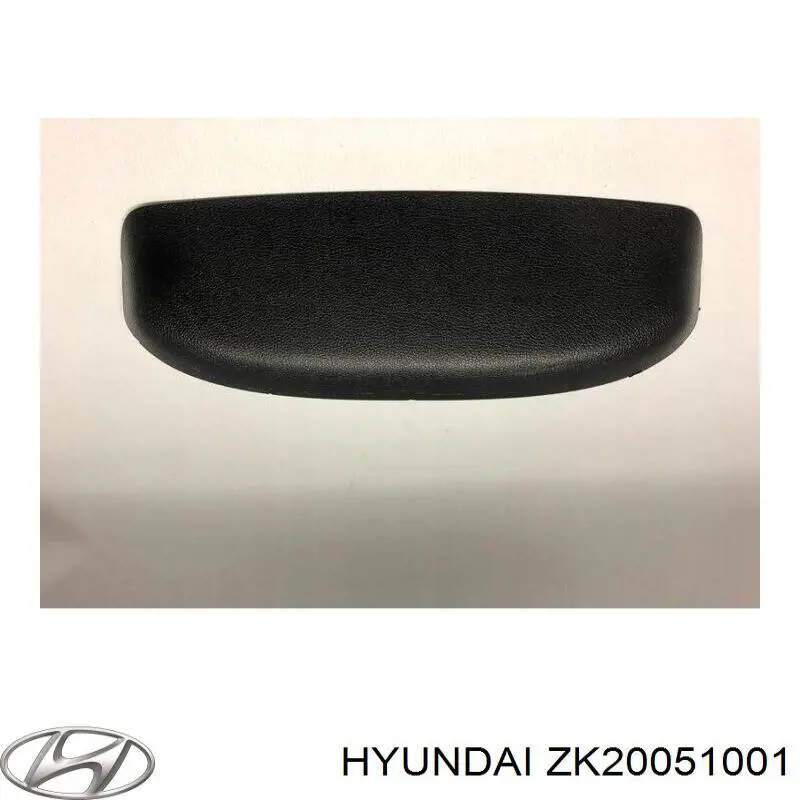  ZK20051001 Hyundai/Kia