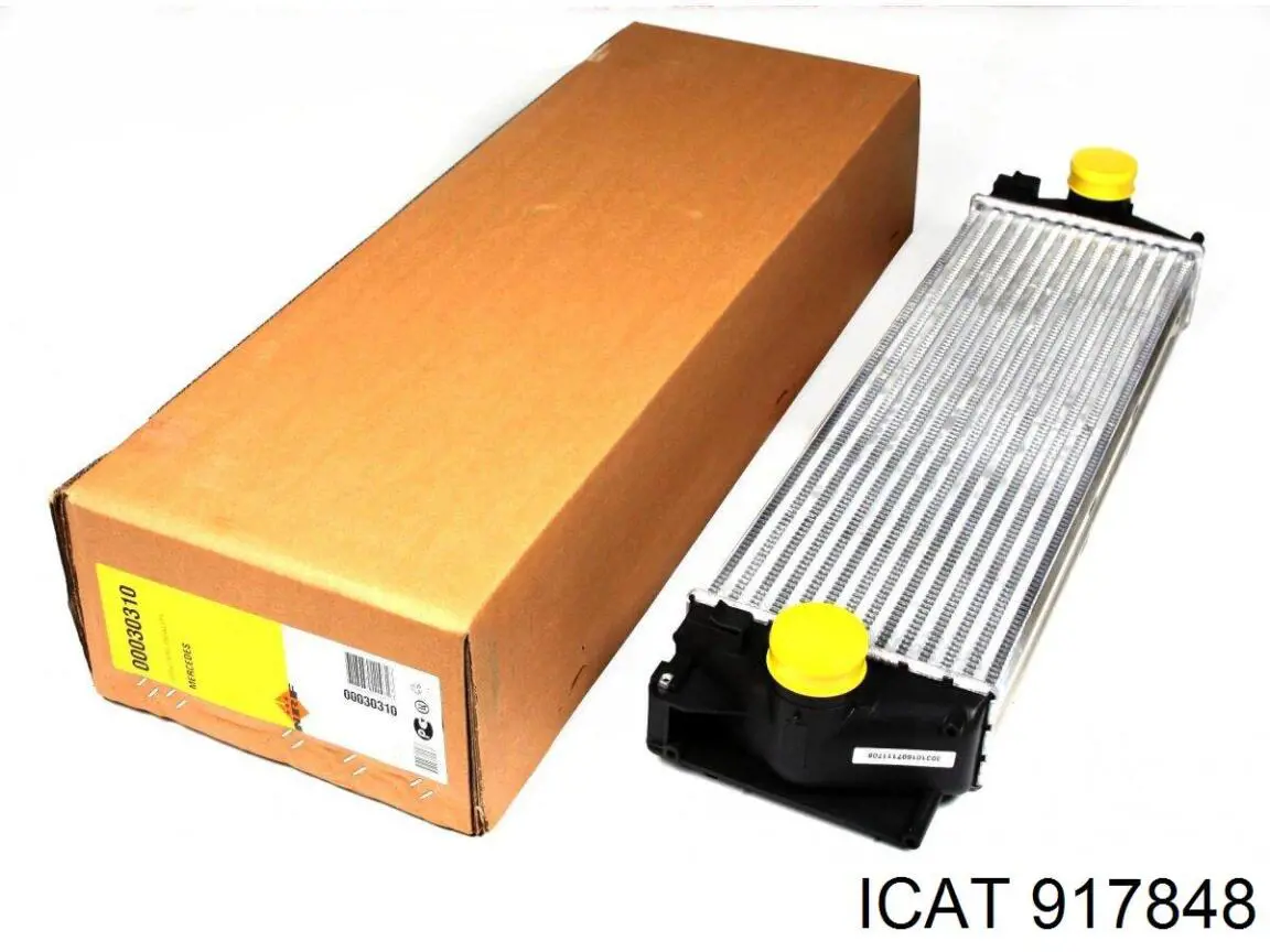 917848 Icat Свічки розжарювання