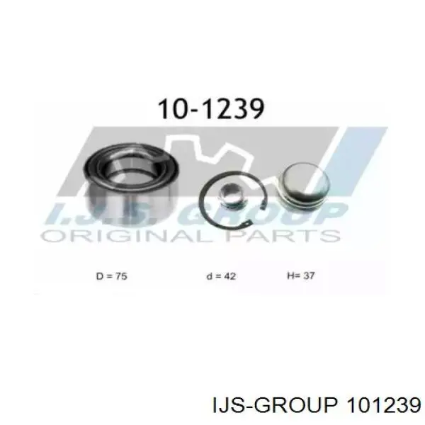 101239 IJS Group Маточина (передня)