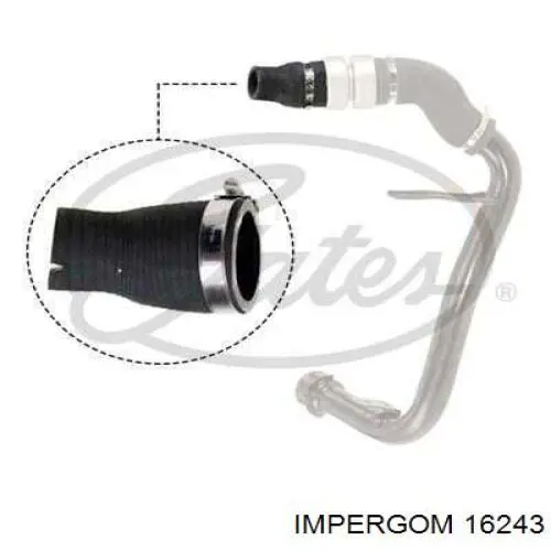 Купити 16243 Impergom Шланг/патрубок интеркуллера