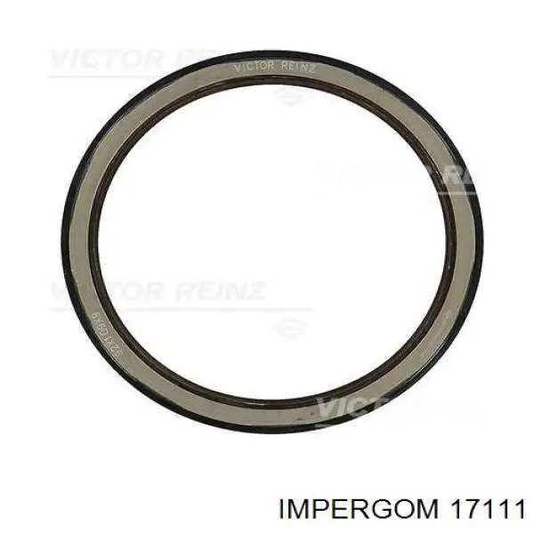 Патрубок системи охолодження Impergom 17111