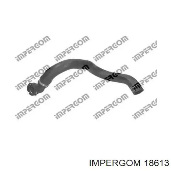  18613 Impergom