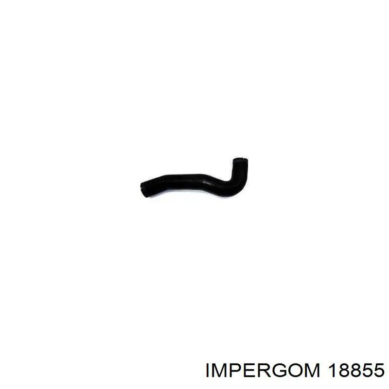  18855 Impergom