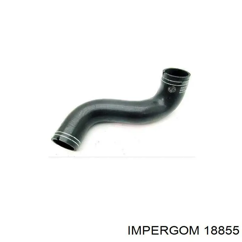 18855 Impergom 