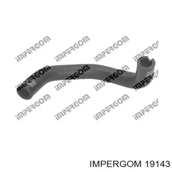  19143 Impergom