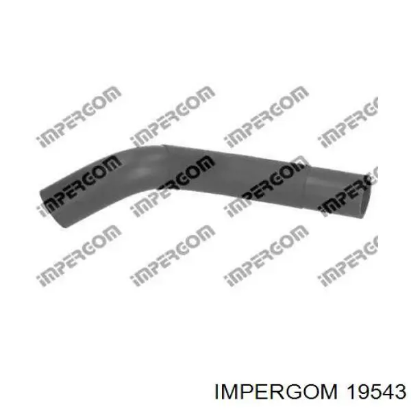 Купити 19543 Impergom Шланг/патрубок радіатора охолодження, нижній