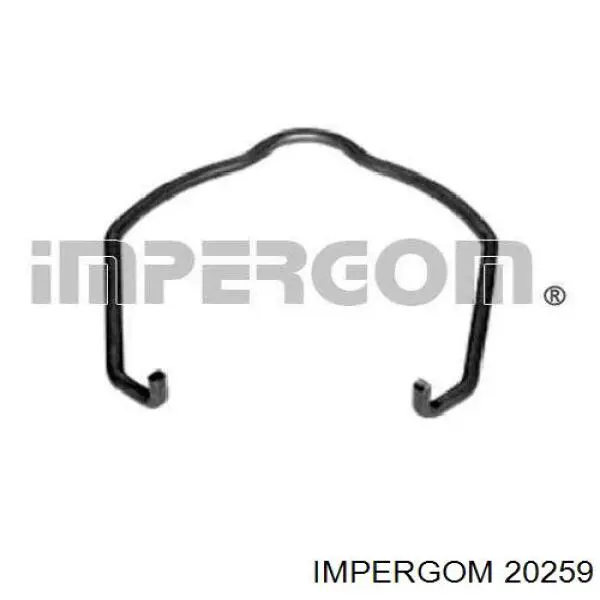 Скоба патрубка интеркуллера 17145038 AND