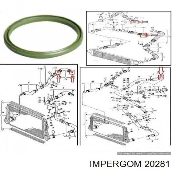 Кільце ущільнювача патрубка интеркуллера 20281 Impergom