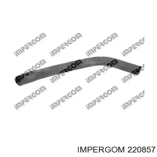11531705566 BMW 