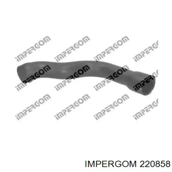 220858 Impergom Патрубок системи охолодження