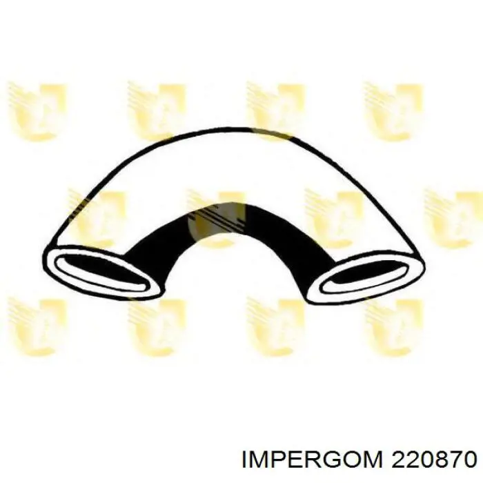 220870 Impergom Шланг/патрубок водяного насосу, нагнітаючий
