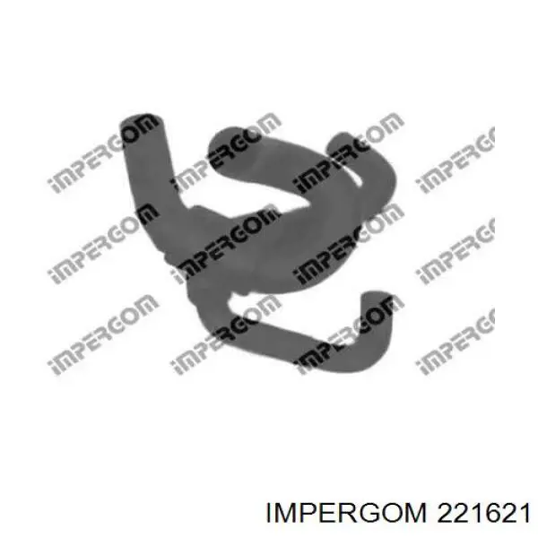 Купити 221621 Impergom Шланг/патрубок радіатора охолодження, нижній