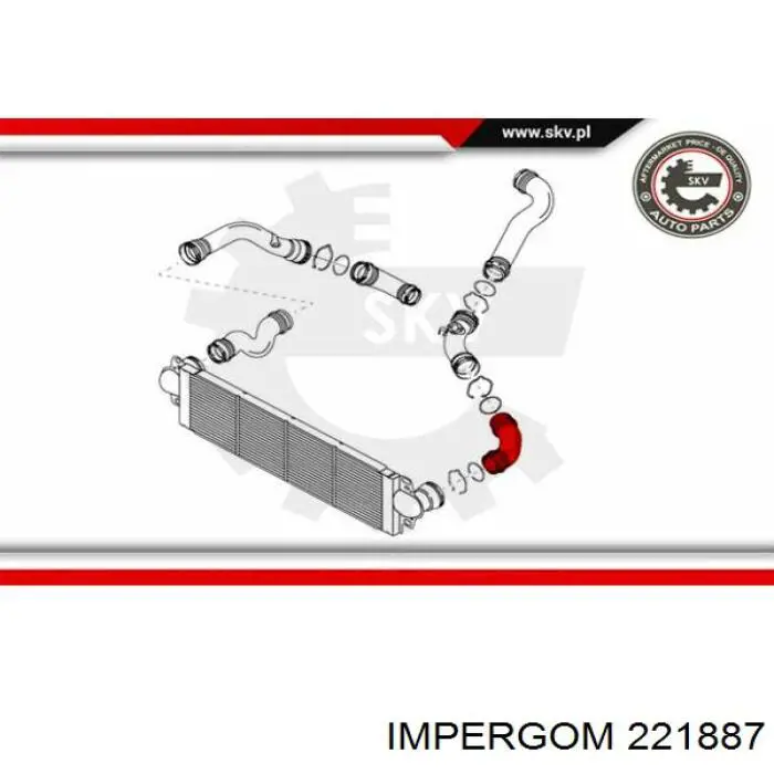 Шланг/патрубок интеркуллера Impergom 221887 ціна, від 25.34 USD