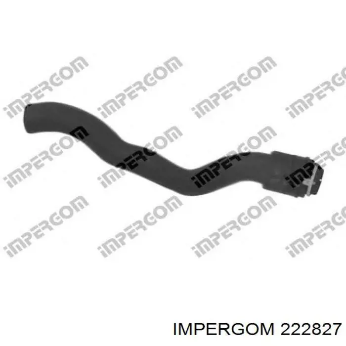 Купити 222827 Impergom 