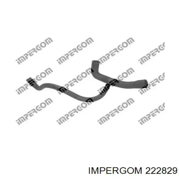 222829 Impergom 