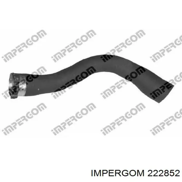 Шланг/патрубок интеркуллера Impergom 222852 ціна, від 38.77 USD