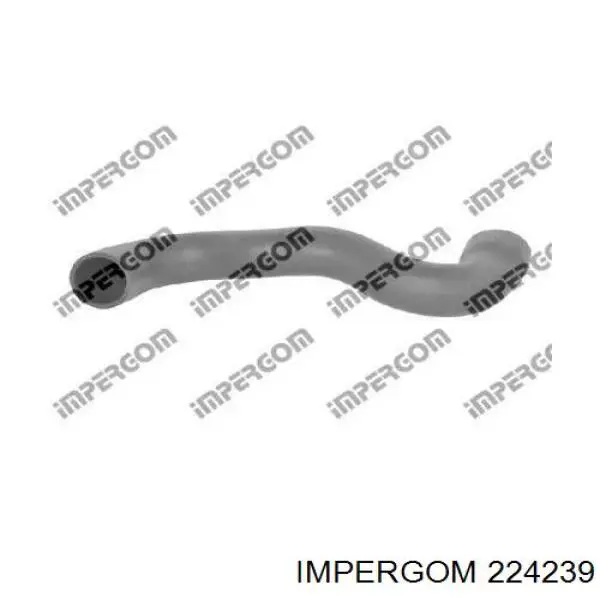 Купити 224239 Impergom 